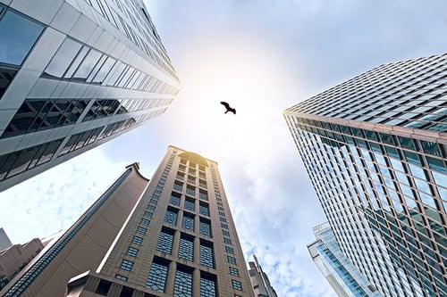 hawk-soaring-between-skyscrapers